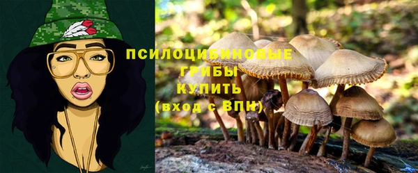 мяу мяу мука Магас