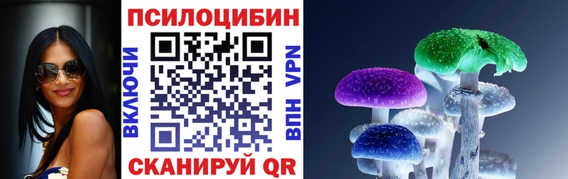 Галлюциногенные грибы Magic Shrooms  где можно купить   Трубчевск 
